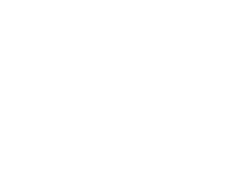 AV cashmere Firenze